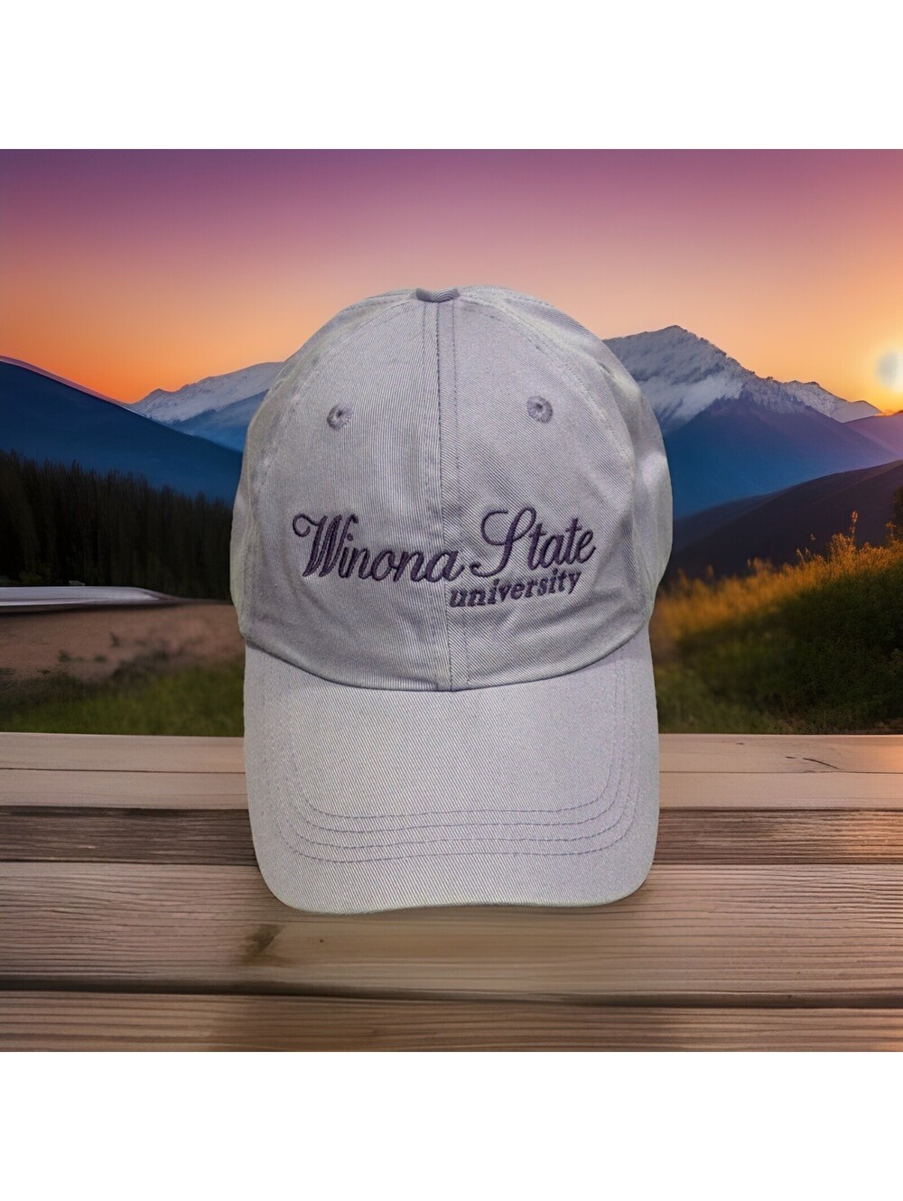 Winona State University Nursing Health Sciences STEM Program Purple Baseball Cap